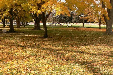 Country & By Radisson, Stockton, Il 3* Stockton